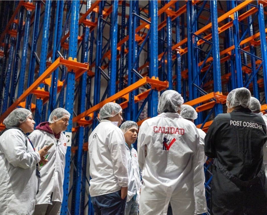 Equipo de calidad y postcosecha en almacén de Magnus