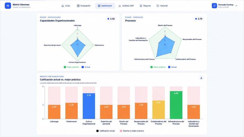 Matriz Hammer PEMM — análisis GAP de madurez de procesos y capacidades organizacionales